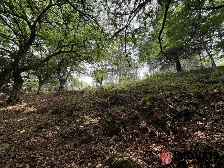 Área para Incorporação em Descansópolis, Campos do Jordão - foto 36
