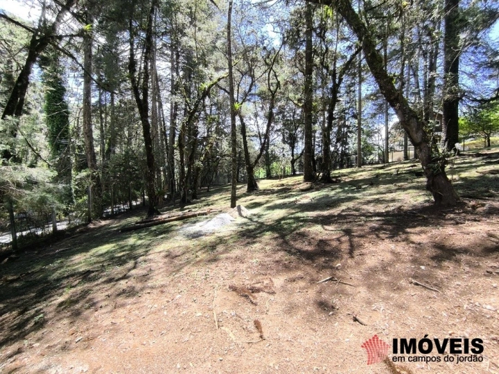 Terreno/Lote em Descansópolis, Campos do Jordão - foto 2