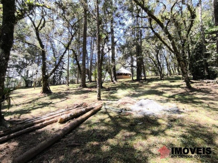 Terreno/Lote em Descansópolis, Campos do Jordão - foto 3