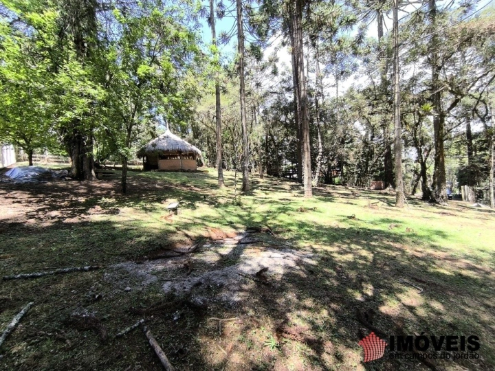 Terreno/Lote em Descansópolis, Campos do Jordão - foto 5
