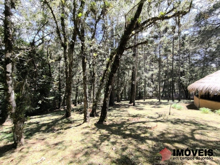 Terreno/Lote em Descansópolis, Campos do Jordão - foto 8