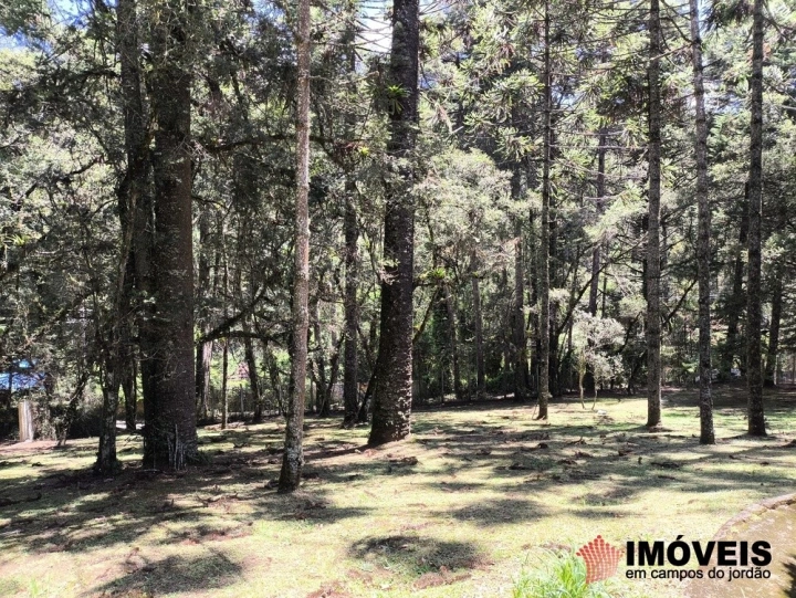 Terreno/Lote em Descansópolis, Campos do Jordão - foto 9