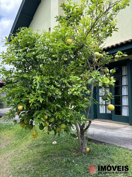 Casa em Vila Nova Suiça, Campos do Jordão - foto 9