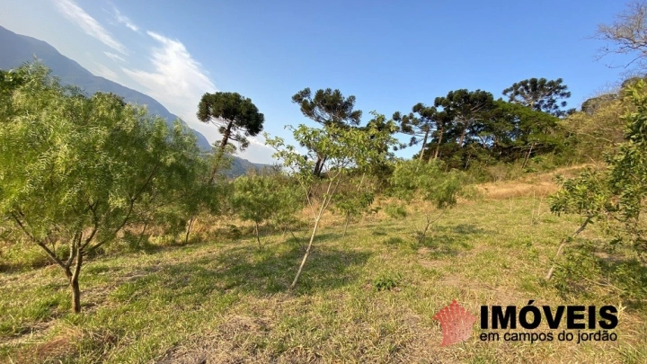 Sítio em Sapucaí Mirim, Campos do Jordão - foto 3