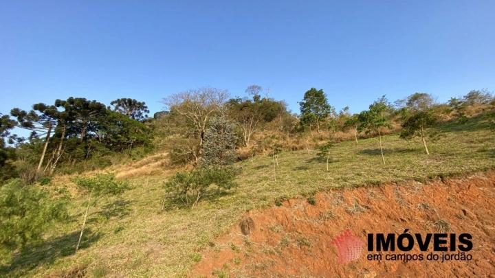 Sítio em Sapucaí Mirim, Campos do Jordão - foto 4