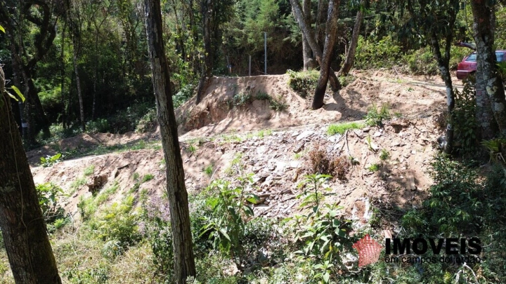 Terreno/Lote em Alto da Boa Vista, Campos do Jordão - foto 7