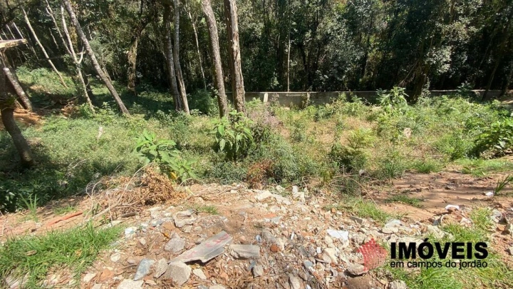 Terreno/Lote em Alto da Boa Vista, Campos do Jordão - foto 8