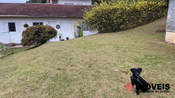 Terreno/Lote em Vila Porã, Campos do Jordão - foto 6