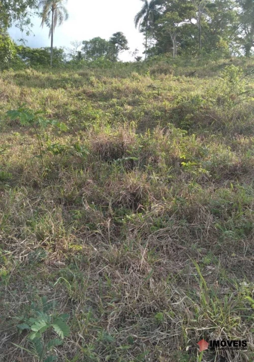 Terreno/Lote em Piranguçu - Minas Gerais, Campos do Jordão - foto 4