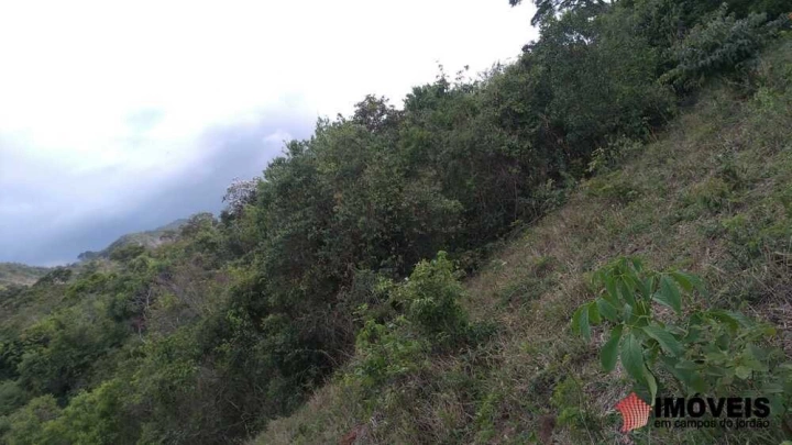 Terreno/Lote em Piranguçu - Minas Gerais, Campos do Jordão - foto 7