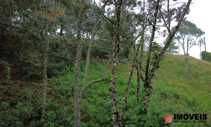 Terreno/Lote em Alto da Boa Vista, Campos do Jordão - foto 6