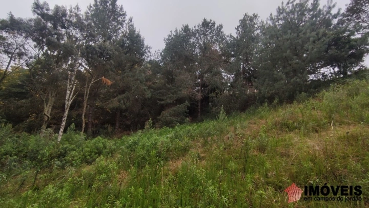 Terreno/Lote em Alto da Boa Vista, Campos do Jordão - foto 7