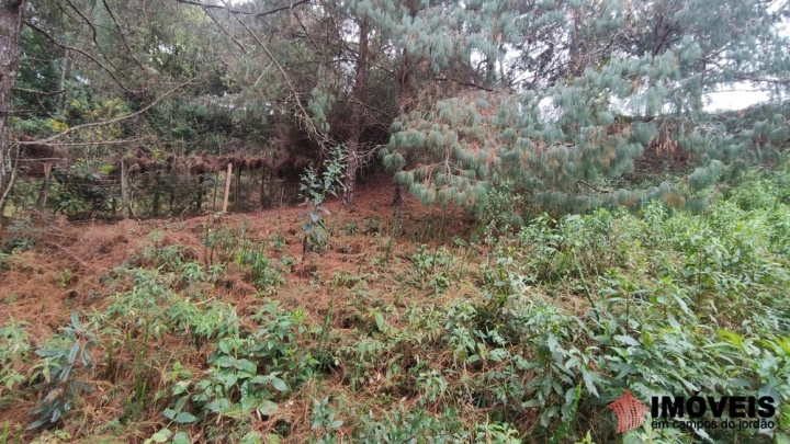 Terreno/Lote em Alto da Boa Vista, Campos do Jordão - foto 8