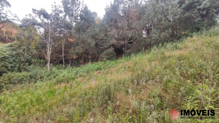 Terreno/Lote em Alto da Boa Vista, Campos do Jordão - foto 9