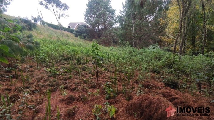 Terreno/Lote em Alto da Boa Vista, Campos do Jordão - foto 10