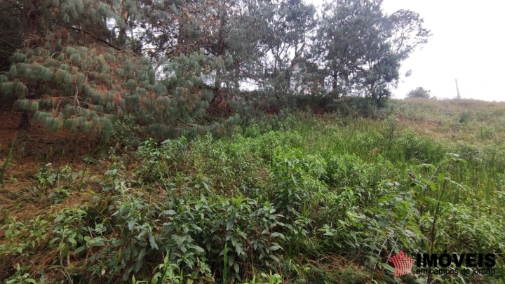Terreno/Lote em Alto da Boa Vista, Campos do Jordão - foto 11