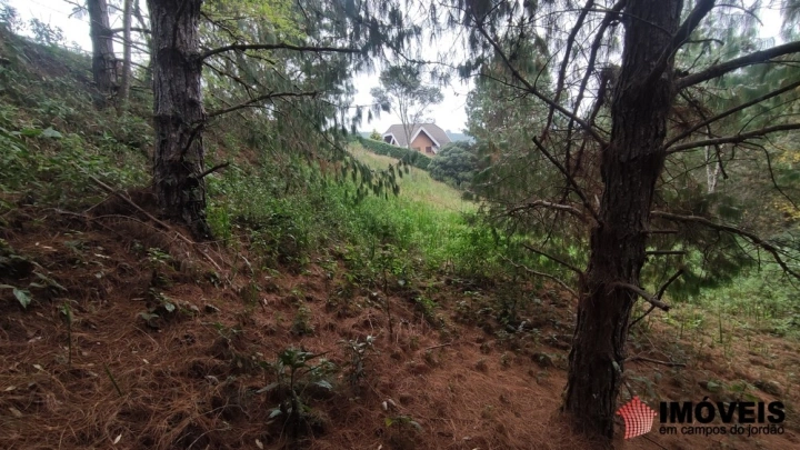 Terreno/Lote em Alto da Boa Vista, Campos do Jordão - foto 12