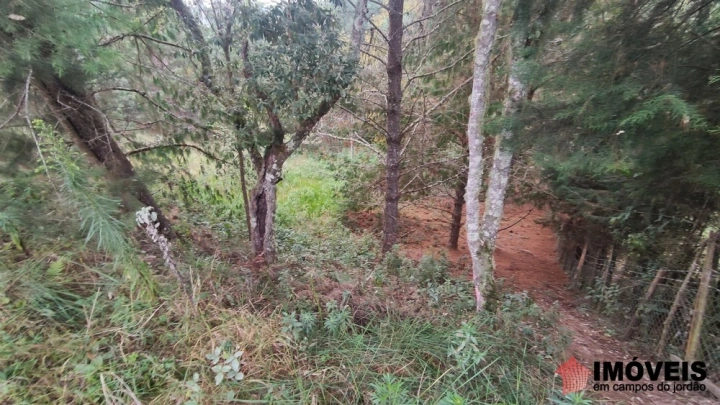 Terreno/Lote em Alto da Boa Vista, Campos do Jordão - foto 13