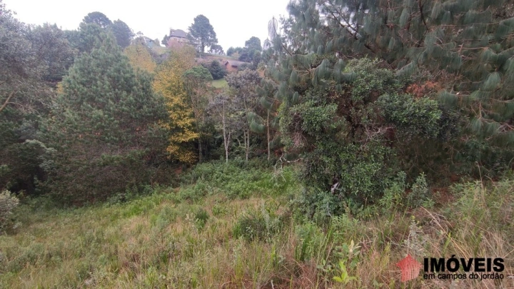 Terreno/Lote em Alto da Boa Vista, Campos do Jordão - foto 14