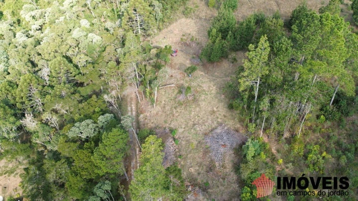 Terreno/Lote em Umuarama, Campos do Jordão - foto 4