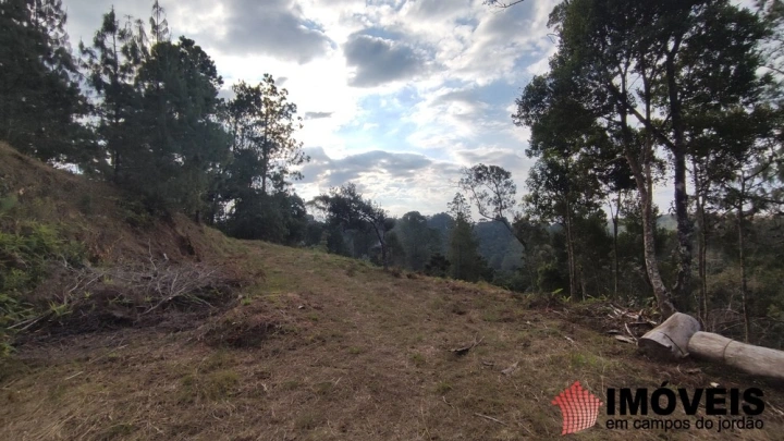 Terreno/Lote em Umuarama, Campos do Jordão - foto 7