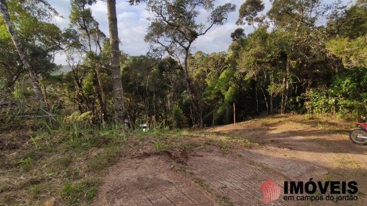 Terreno/Lote em Umuarama, Campos do Jordão - foto 16