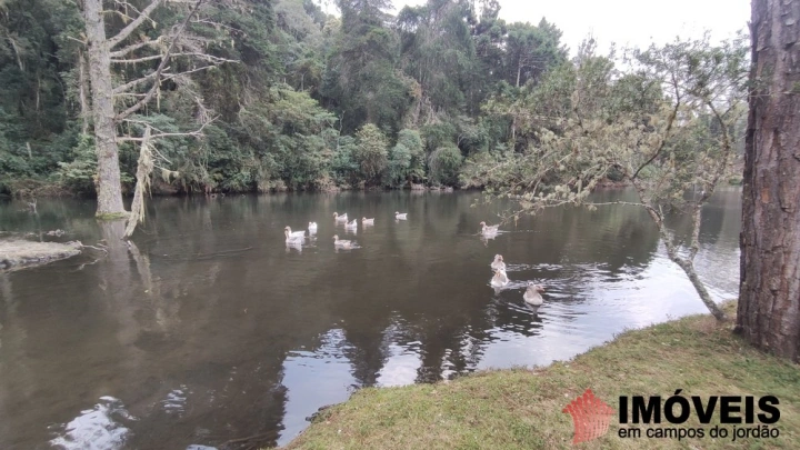 Terreno/Lote em Umuarama, Campos do Jordão - foto 20