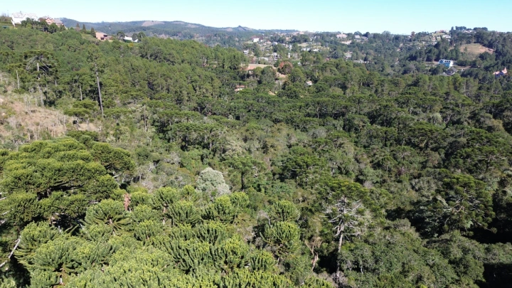 Terreno/Lote em Alto do Capivari, Campos do Jordão - foto 3