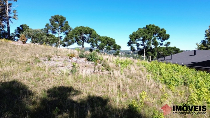 Terreno/Lote em Alto do Capivari, Campos do Jordão - foto 29