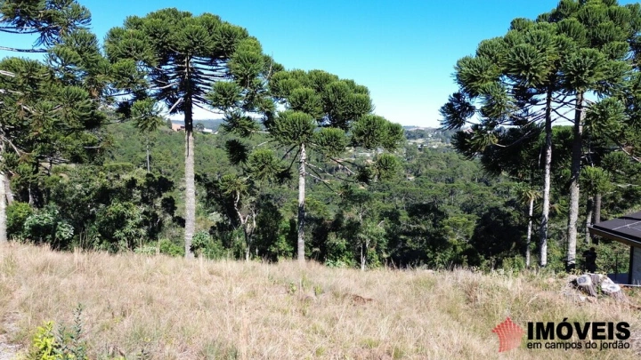 Terreno/Lote em Alto do Capivari, Campos do Jordão - foto 30