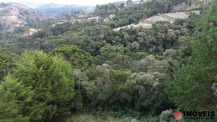 Terreno/Lote em Descansópolis, Campos do Jordão - foto 13