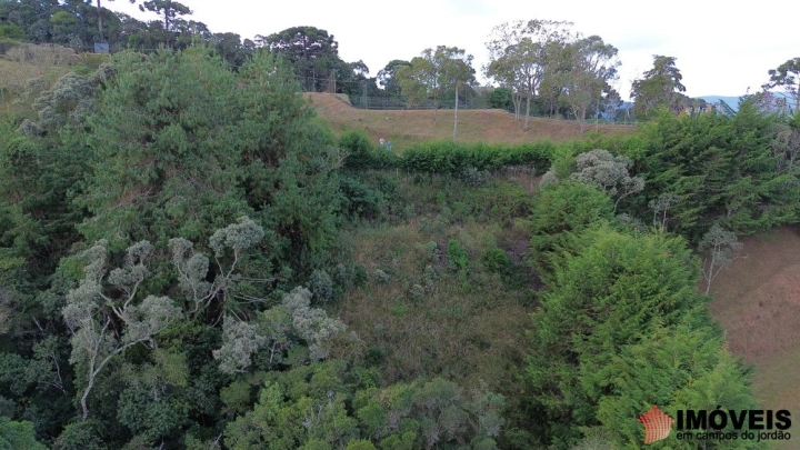 Terreno/Lote em Descansópolis, Campos do Jordão - foto 20
