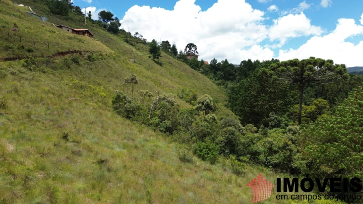 Terreno/Lote em Descansópolis, Campos do Jordão - foto 6
