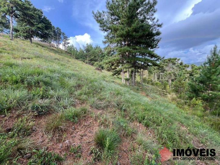 Terreno/Lote em Atalaia, Campos do Jordão - foto 19