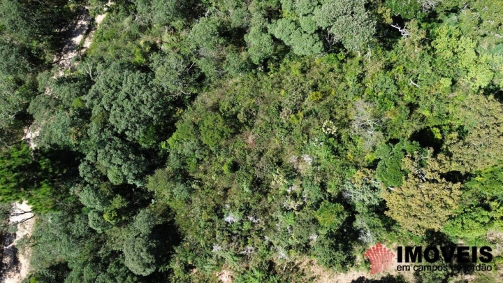 Terreno/Lote em Colinas Do Imbiry, Campos do Jordão - foto 2