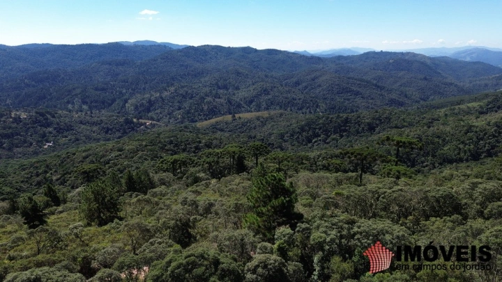 Terreno/Lote em Colinas Do Imbiry, Campos do Jordão - foto 6