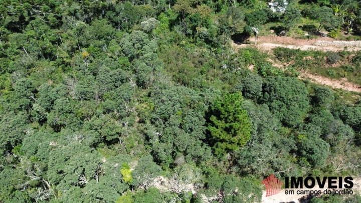 Terreno/Lote em Colinas Do Imbiry, Campos do Jordão - foto 7