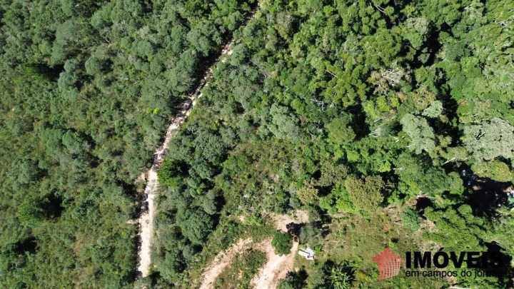 Terreno/Lote em Colinas Do Imbiry, Campos do Jordão - foto 8