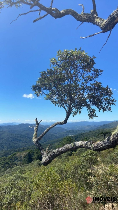 Terreno/Lote em Colinas Do Imbiry, Campos do Jordão - foto 11