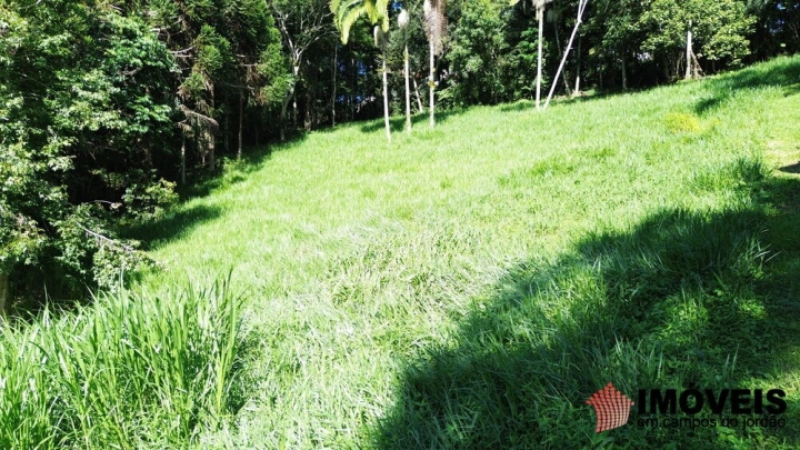 Terreno/Lote em Pinhalzinho em Santo Antônio do Pinhal, Campos do Jordão - foto 7