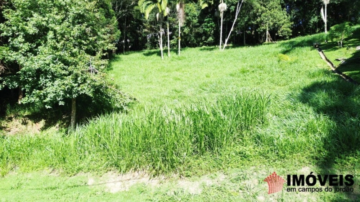 Terreno/Lote em Pinhalzinho em Santo Antônio do Pinhal, Campos do Jordão - foto 8