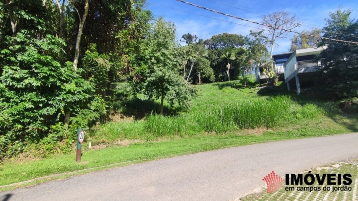 Terreno/Lote em Pinhalzinho em Santo Antônio do Pinhal, Campos do Jordão - foto 11