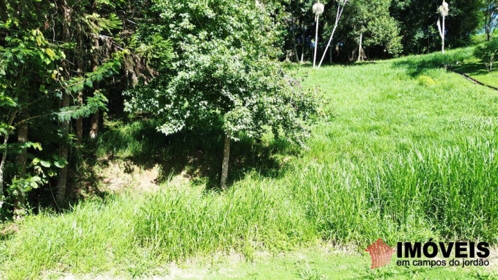 Terreno/Lote em Pinhalzinho em Santo Antônio do Pinhal, Campos do Jordão - foto 12