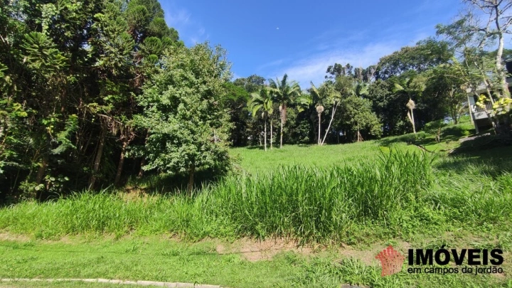 Terreno/Lote em Pinhalzinho em Santo Antônio do Pinhal, Campos do Jordão - foto 13