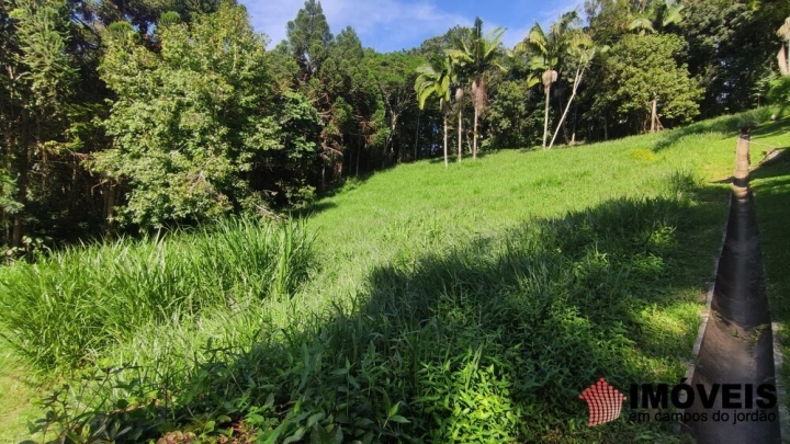 Terreno/Lote em Pinhalzinho em Santo Antônio do Pinhal, Campos do Jordão - foto 14