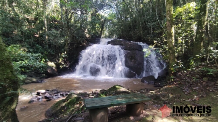 Terreno/Lote em Pinhalzinho em Santo Antônio do Pinhal, Campos do Jordão - foto 16
