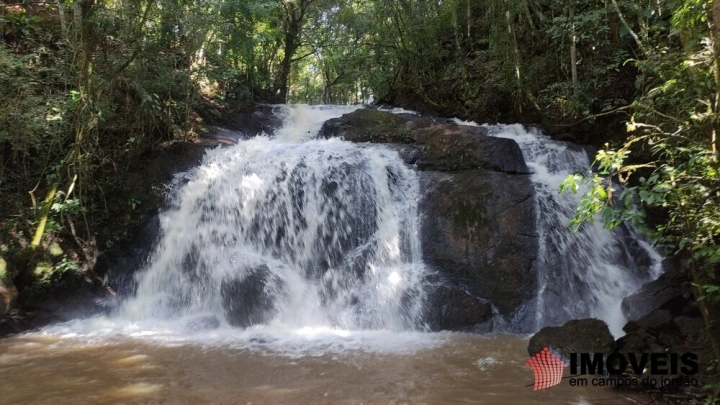 Terreno/Lote em Pinhalzinho em Santo Antônio do Pinhal, Campos do Jordão - foto 18