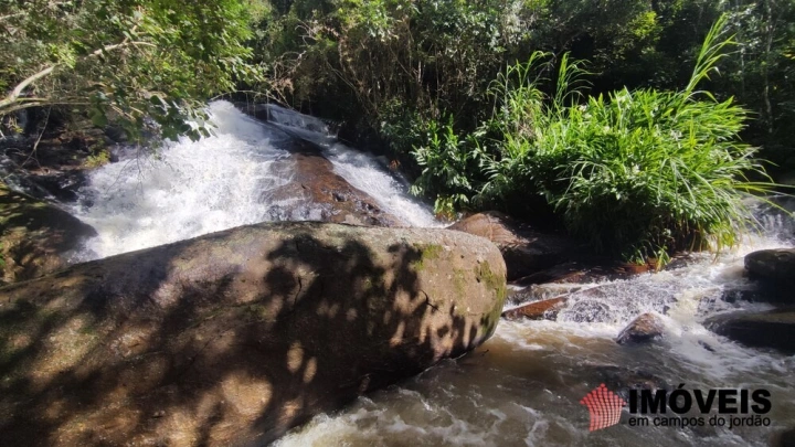 Terreno/Lote em Pinhalzinho em Santo Antônio do Pinhal, Campos do Jordão - foto 19