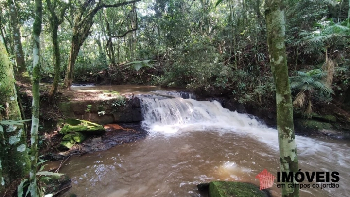 Terreno/Lote em Pinhalzinho em Santo Antônio do Pinhal, Campos do Jordão - foto 20