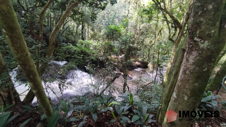 Terreno/Lote em Pinhalzinho em Santo Antônio do Pinhal, Campos do Jordão - foto 22